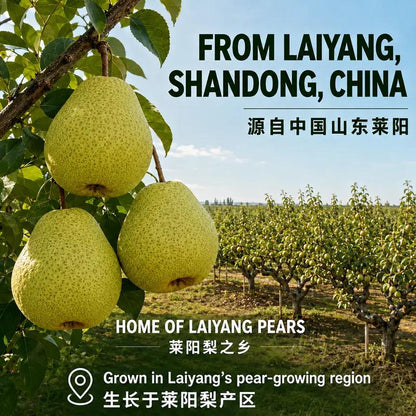[Clearance Sale] Yizhibi NFC 100% Laiyang Pear Juice 310ml × 8 Cans Gift Box