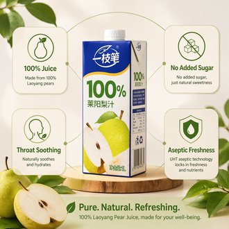 Yizhibi 100% Pure Laiyang Pear Juice 1L – Natural Refreshing Fruit Drink