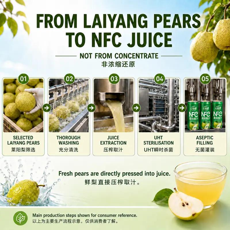 [Clearance Sale] Yizhibi NFC 100% Laiyang Pear Juice 310ml × 8 Cans Gift Box