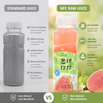 一支笔 (Yi Zhi Bi) BaGanDaDa Guava & Amla Juice Drink 245ml – NFC Guava Oil Citrus Fruit Juice Beverage, 60% Juice Content, No Added Sugar, Added Prebiotics, Natural Refreshing Fruit Drink in PET Bottle, 10 Bottles per Carton