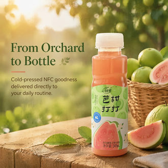 一支笔 (Yi Zhi Bi) BaGanDaDa Guava & Amla Juice Drink 245ml – NFC Guava Oil Citrus Fruit Juice Beverage, 60% Juice Content, No Added Sugar, Added Prebiotics, Natural Refreshing Fruit Drink in PET Bottle, 10 Bottles per Carton