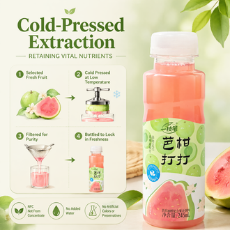 一支笔 (Yi Zhi Bi) BaGanDaDa Guava & Amla Juice Drink 245ml – NFC Guava Oil Citrus Fruit Juice Beverage, 60% Juice Content, No Added Sugar, Added Prebiotics, Natural Refreshing Fruit Drink in PET Bottle, 10 Bottles per Carton
