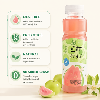 一支笔 (Yi Zhi Bi) BaGanDaDa Guava & Amla Juice Drink 245ml – NFC Guava Oil Citrus Fruit Juice Beverage, 60% Juice Content, No Added Sugar, Added Prebiotics, Natural Refreshing Fruit Drink in PET Bottle, 10 Bottles per Carton