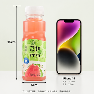 一支笔 (Yi Zhi Bi) BaGanDaDa Guava & Amla Juice Drink 245ml – NFC Guava Oil Citrus Fruit Juice Beverage, 60% Juice Content, No Added Sugar, Added Prebiotics, Natural Refreshing Fruit Drink in PET Bottle, 10 Bottles per Carton