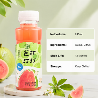 一支笔 (Yi Zhi Bi) BaGanDaDa Guava & Amla Juice Drink 245ml – NFC Guava Oil Citrus Fruit Juice Beverage, 60% Juice Content, No Added Sugar, Added Prebiotics, Natural Refreshing Fruit Drink in PET Bottle, 10 Bottles per Carton