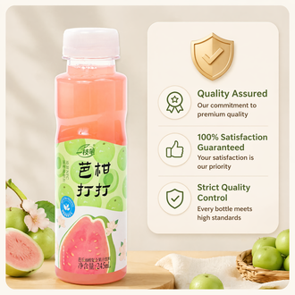 一支笔 (Yi Zhi Bi) BaGanDaDa Guava & Amla Juice Drink 245ml – NFC Guava Oil Citrus Fruit Juice Beverage, 60% Juice Content, No Added Sugar, Added Prebiotics, Natural Refreshing Fruit Drink in PET Bottle, 10 Bottles per Carton
