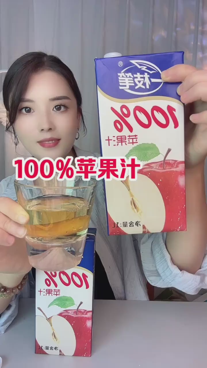 Yizhibi 一枝笔 100% Pure Apple Juice (1L) | 0 Additives, No Added Sugar, No Preservatives | Fresh Natural Taste