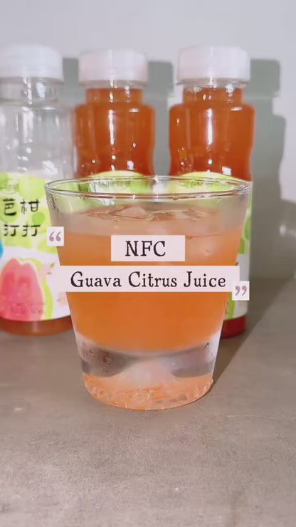 Yizhibi NFC Guava Citrus Juice Drink +  Mount Fuji Glass Cup with Wooden Gift Box
