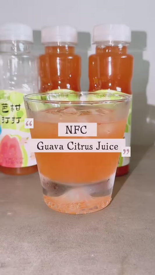 Yizhibi NFC Guava Citrus Juice Drink +  Mount Fuji Glass Cup with Wooden Gift Box