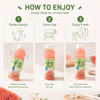 一支笔 (Yi Zhi Bi) BaGanDaDa Guava & Amla Juice Drink 245ml – NFC Guava Oil Citrus Fruit Juice Beverage, 60% Juice Content, No Added Sugar, Added Prebiotics, Natural Refreshing Fruit Drink in PET Bottle, 10 Bottles per Carton - ONE PEN SG