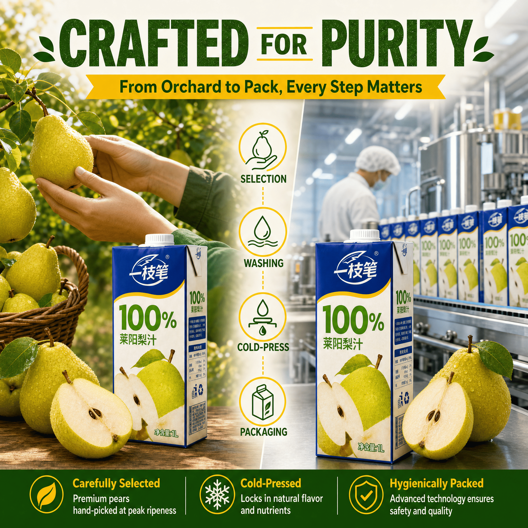 Yizhibi 100% Laiyang Pear Juice 1L x 2 Packs (1+1 Combo) Singapore - ONE PEN SG