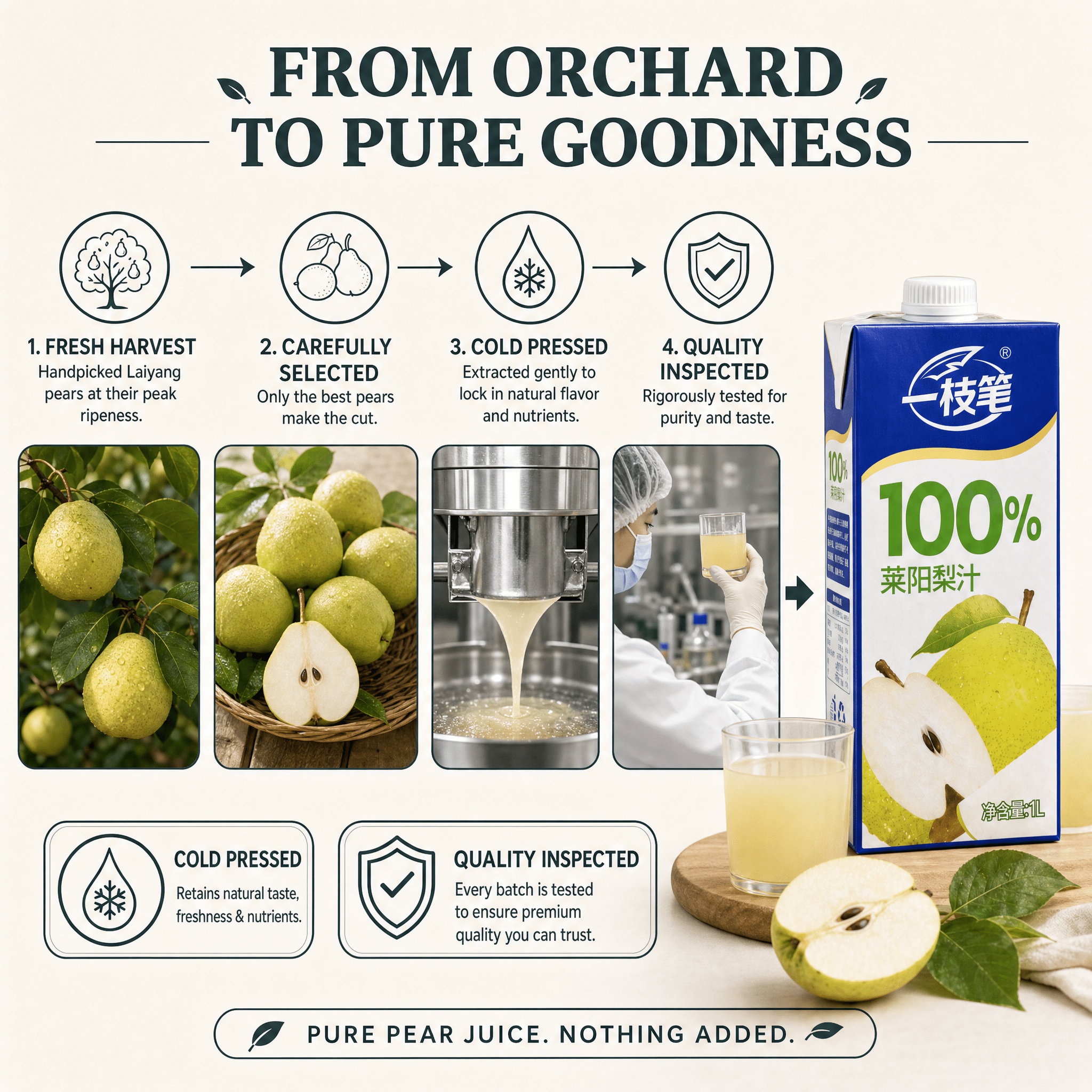 Yizhibi 100% Laiyang Pear Juice + Laiyang Pear Juice Drink 1L x 2 Packs (1+1 Combo) Singapore - ONE PEN SG